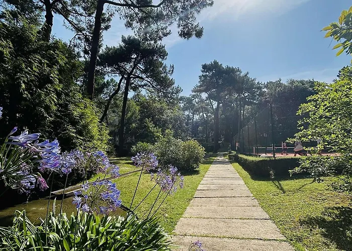 Appartement Calme Avec Tennis Privatif, Proche Mer A La Baule - Fr-1-245-194